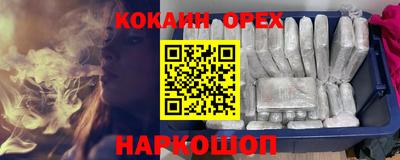 амф Кингисепп