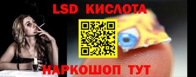 амф Кингисепп