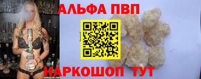 амф Кингисепп