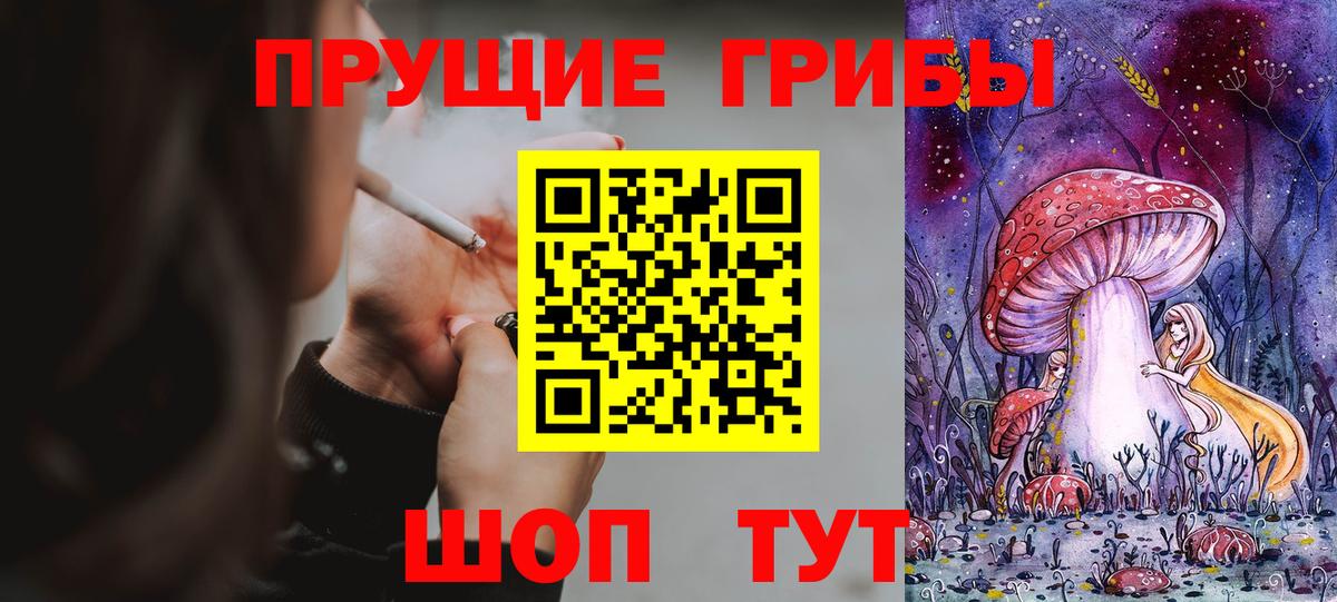 Псилоцибиновые грибы Psilocybe Бирск