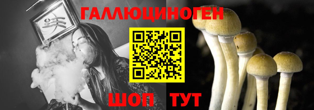 Галлюциногенные грибы Cubensis  Вход с VPN  Бирск 